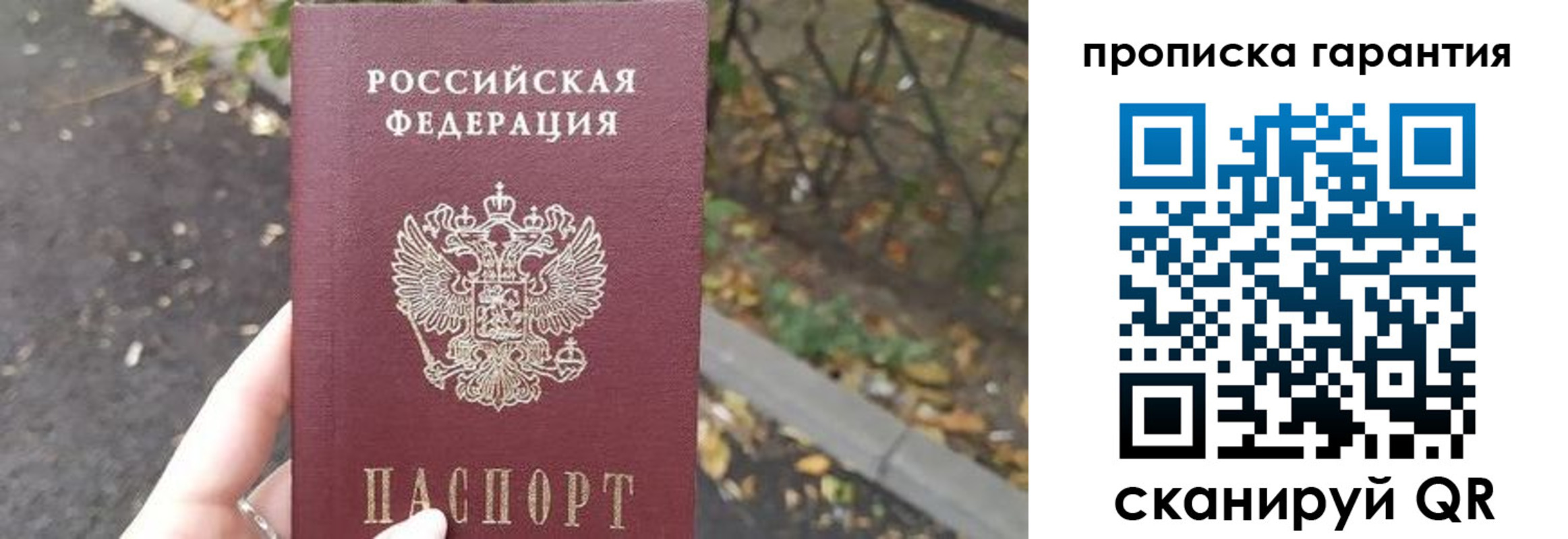 где прописаться в Сосновом Бору